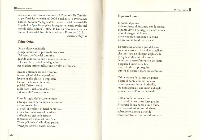 Immagine 3