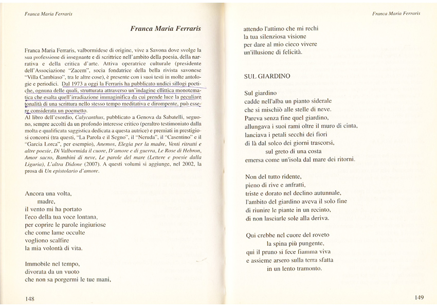 Immagine 2