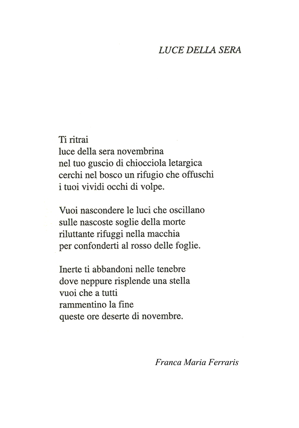 Immagine 7